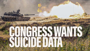 Army suicide investigation follow-up: Congress wants answers