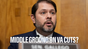 Looking for common ground on VA overhaul