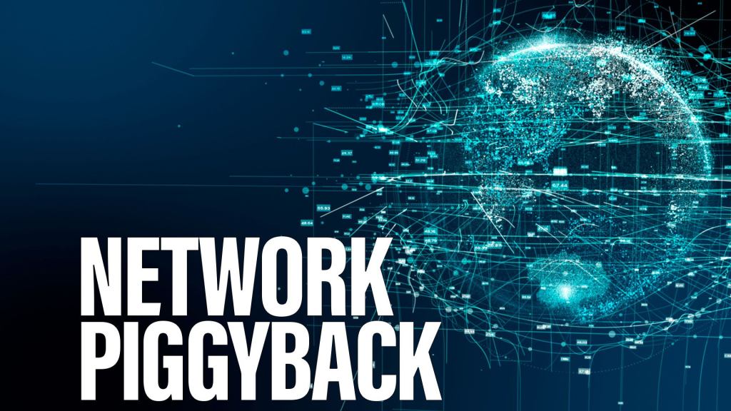 Would the Navy be able to securely use any network?