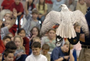 Air Force falcon mascot injured during West Point prank expected to make full recovery