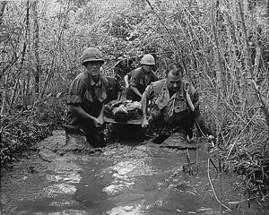 DoD willing to reconsider discharges of Vietnam vets with PTSD