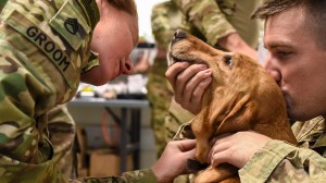 Army disputes PETA claim about hiding documents on animal wounding