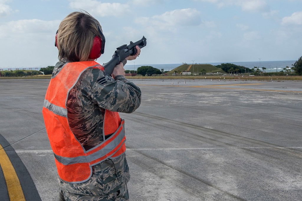 Wildlife strikes add to Air Force and Navy’s mishap count
