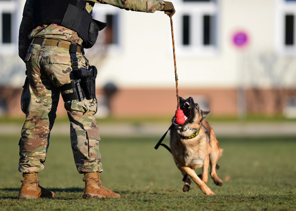 Best pics of the week: Feb. 24, 2019