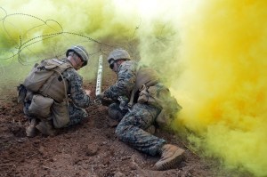 Marine combat engineers no longer capable of supporting the infantry