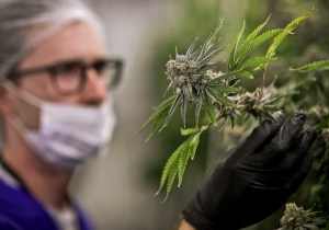 Veterans are key as surge of states OK medical pot for PTSD