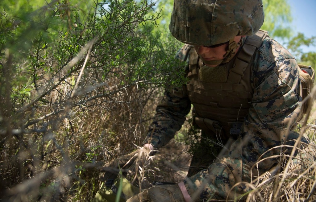 The Marines want to test all recruits for cyber skills