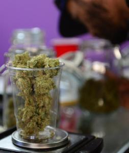 House rejects plan to let VA doctors talk about marijuana