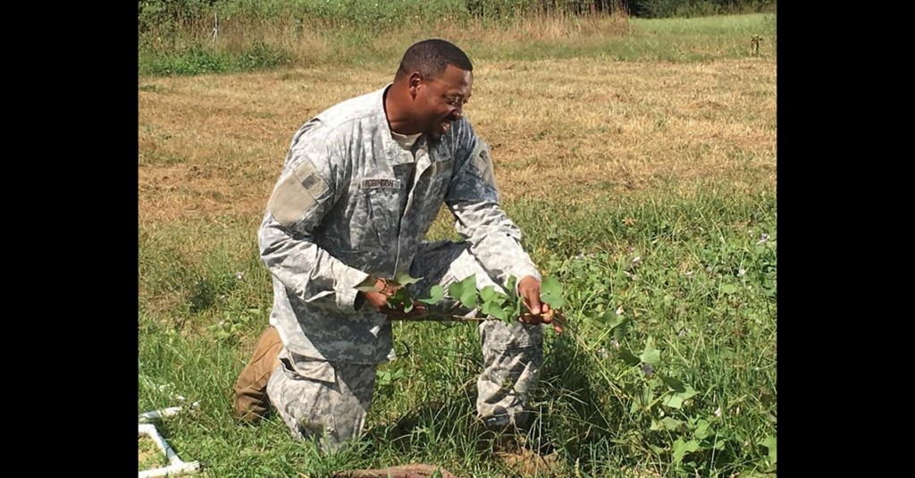 West Virginia gets grant to train veterans in agriculture