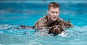 Best pics of the week: Aug. 6, 2018