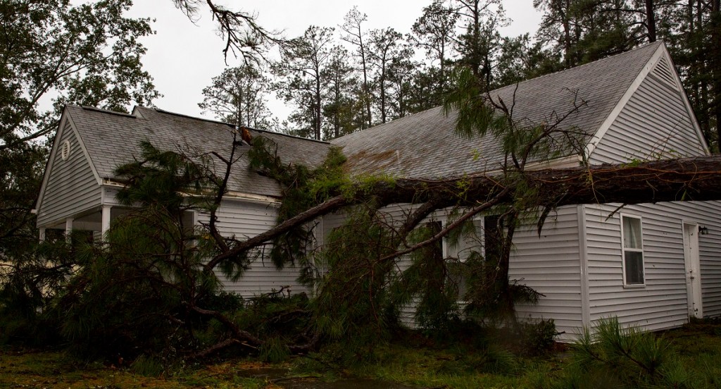 3 Marine families file lawsuit for ‘slumlord level’ privatized housing at Camp Lejeune
