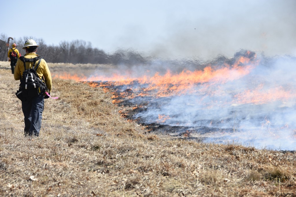 The Pentagon wants self-sufficient search-and-rescue drones