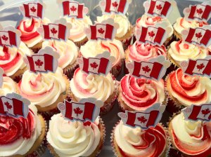 Baked on the range: Canadian soldier allegedly served weed cupcakes to her unit