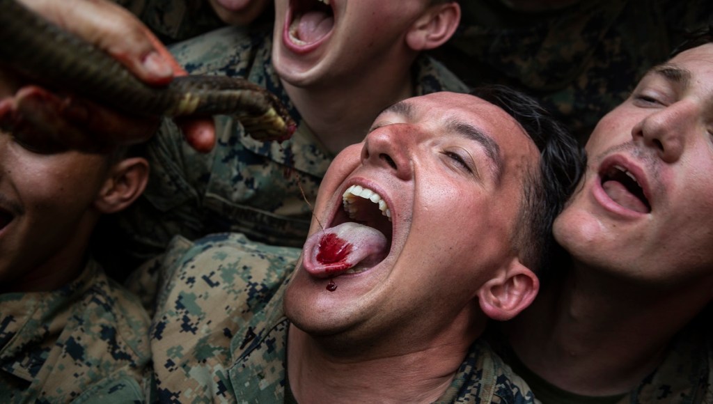 ‘If Girl Scouts could survive, why not Marines?’ PETA to protest over ‘Cobra Gold bloodlust’