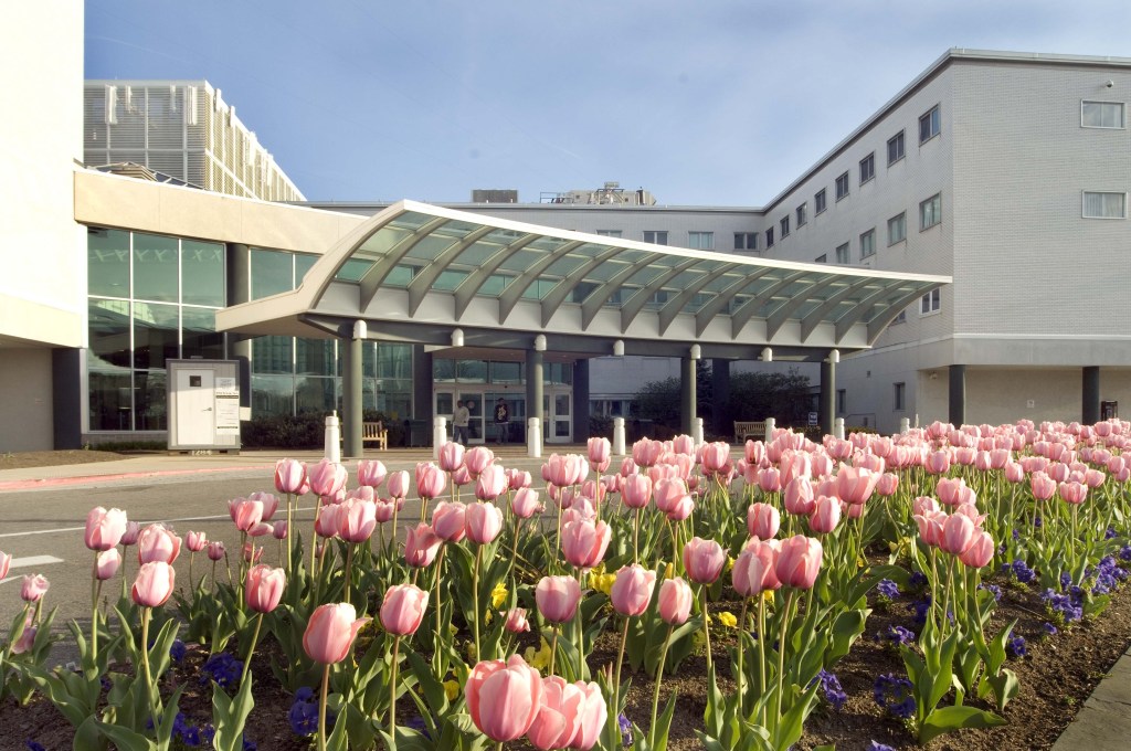 Former head of DC veterans hospital fired