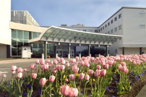 Former head of DC veterans hospital fired