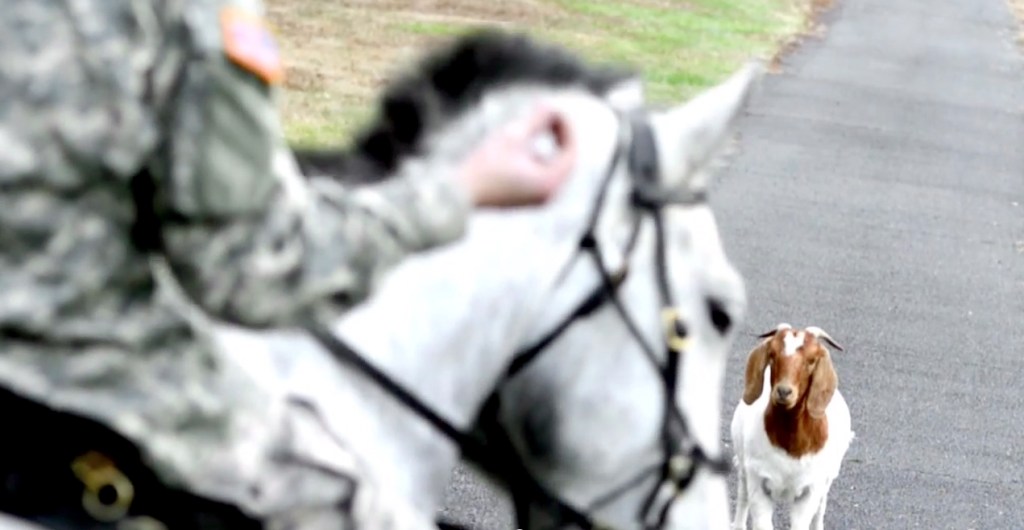 Spirit spot roundup No. 3: All-Army with Dempsey, more