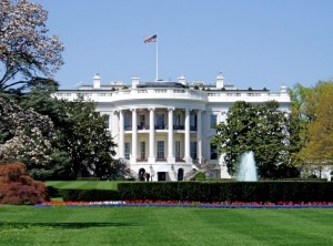 Trump announces additional White House tech appointments