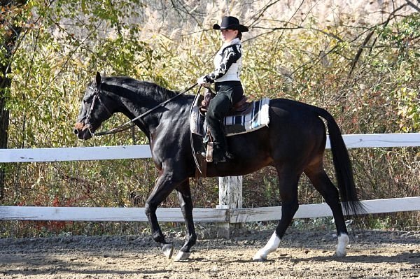 Rodeo royalty: 1LT’s title offers ‘amazing opportunity’