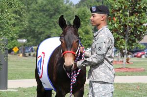 Fort Bragg unit welcomes new mini-mule mascot