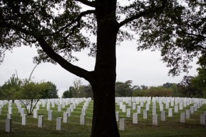 Military suicides down from last year