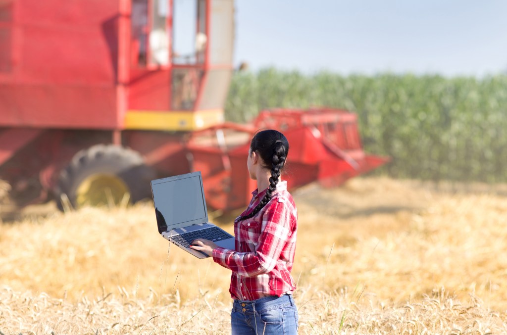 USDA awards $17M IT management contract