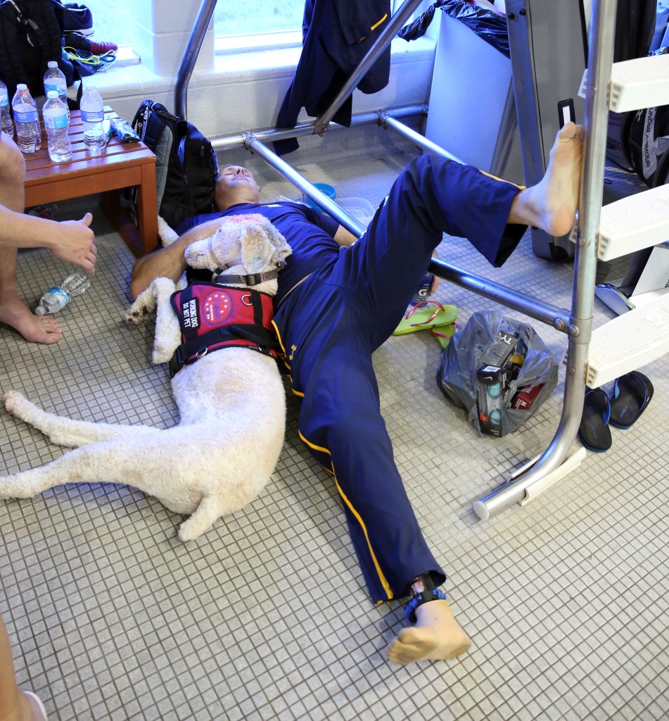 VA amends access rules for service dogs at facilities