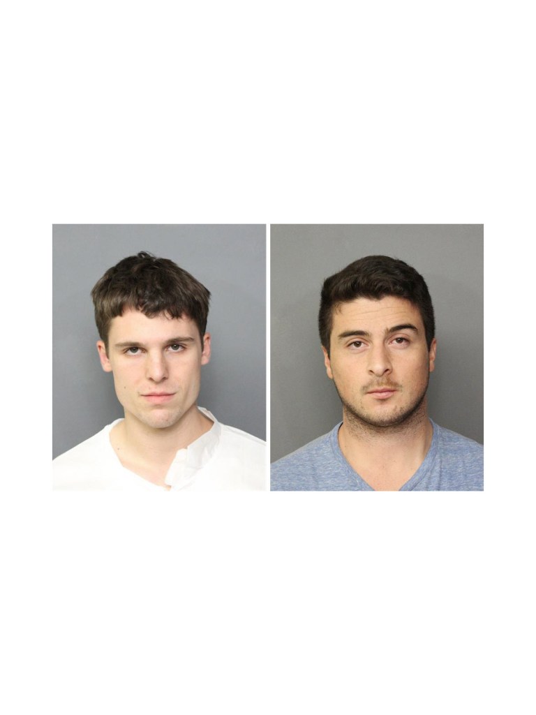 Police: 2 sailors face prison after drunken antics