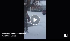VIDEO: ‘Dinosaur’ shoveling snow at Fort Campbell