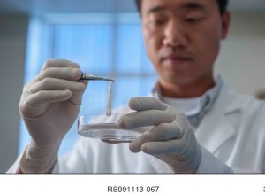 Lab-grown testicles give new hope to wounded vets