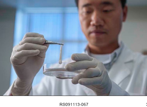 Lab-grown testicles give new hope to wounded vets