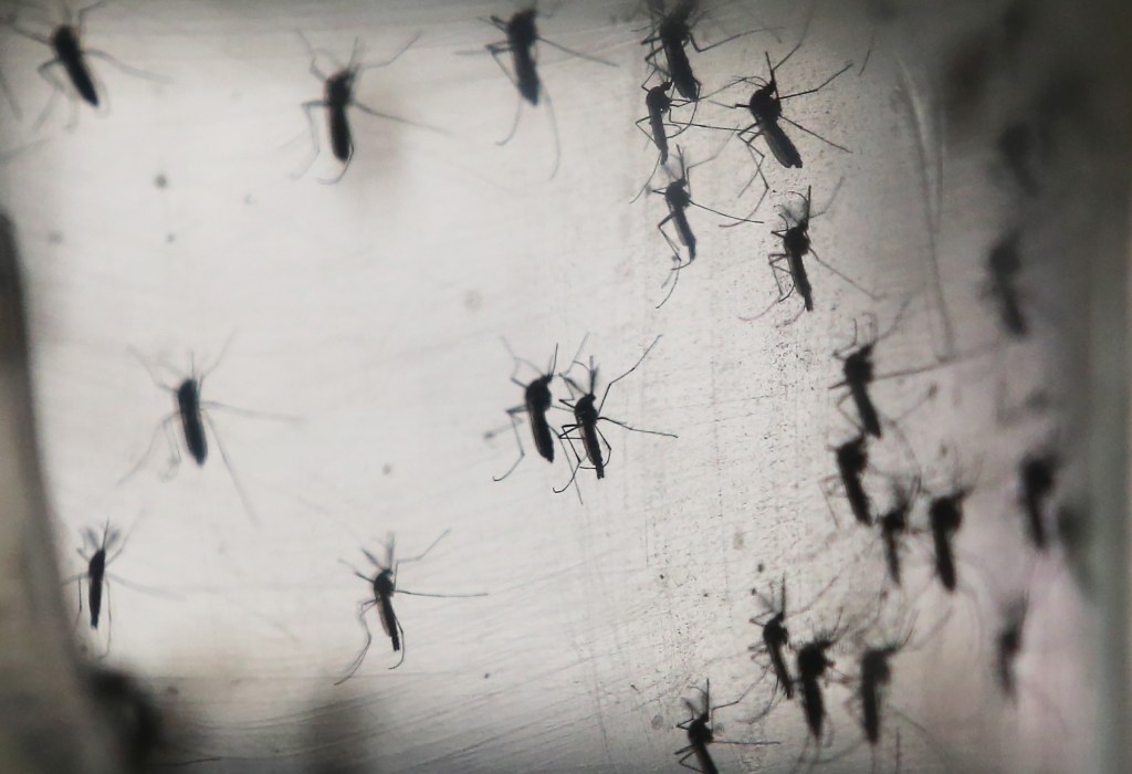 U.S. Army and France’s Sanofi combine work on Zika vaccine