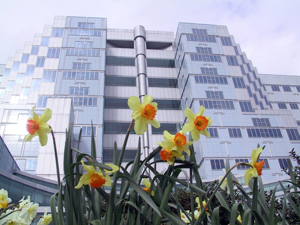 As first VA patient dies from COVID-19, VA hospitals start barring all visitors