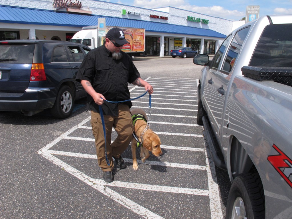VA service dogs study for vets with PTSD questioned