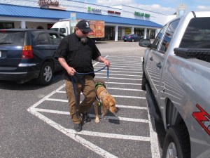 VA service dogs study for vets with PTSD questioned