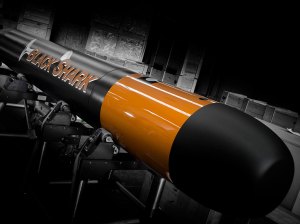 Indian Black Shark torpedo deal for Navy might be revived