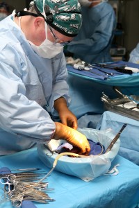 Defense Department charts new territory in kidney transplants