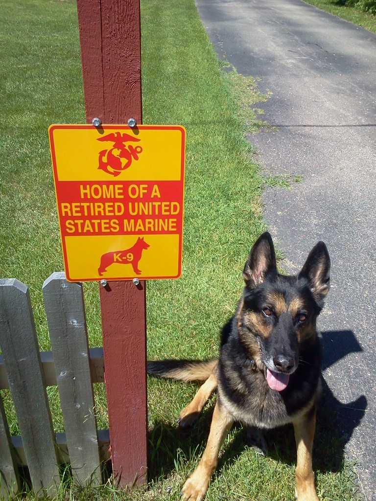 Fourth-generation Marine family says goodbye to military working dog