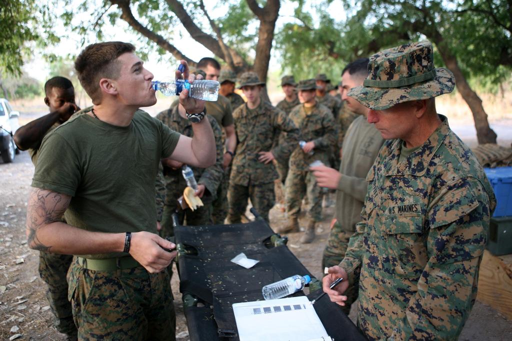 Malaria drug causes brain damage that mimics PTSD: case study