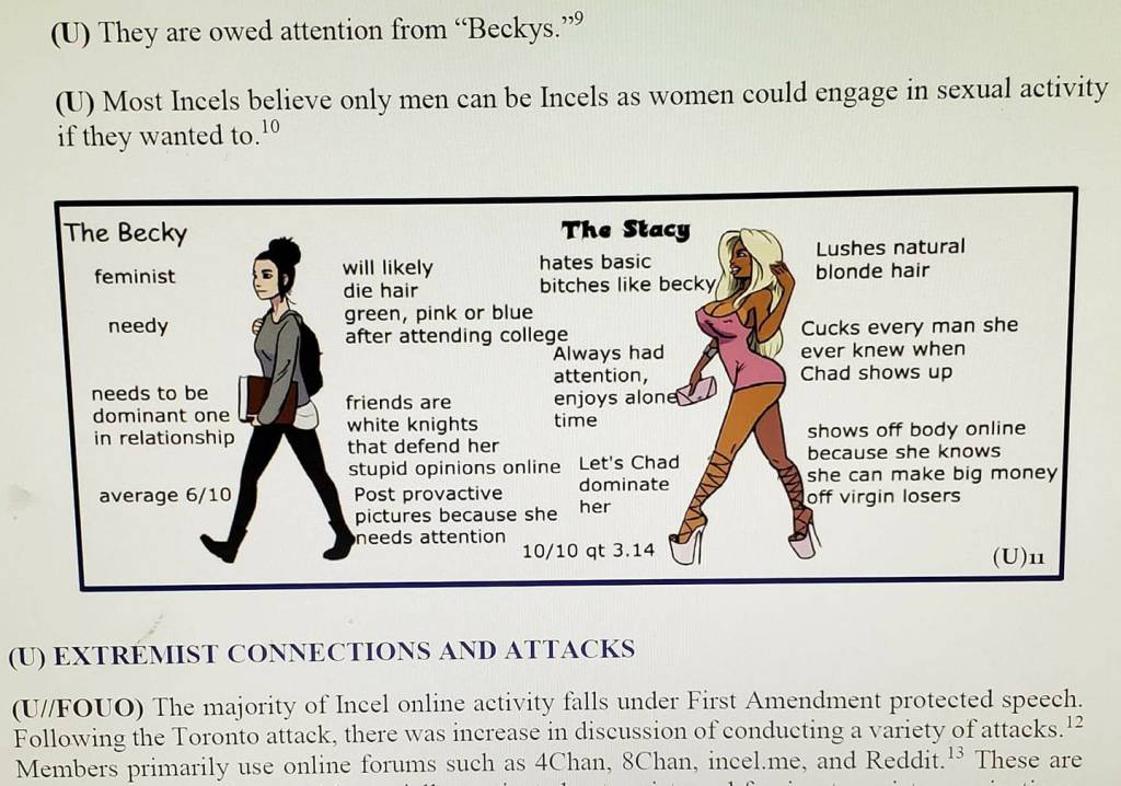 Air Force cautions troops to beware of sexless ‘involuntary celibates’