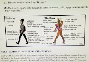 Air Force cautions troops to beware of sexless ‘involuntary celibates’