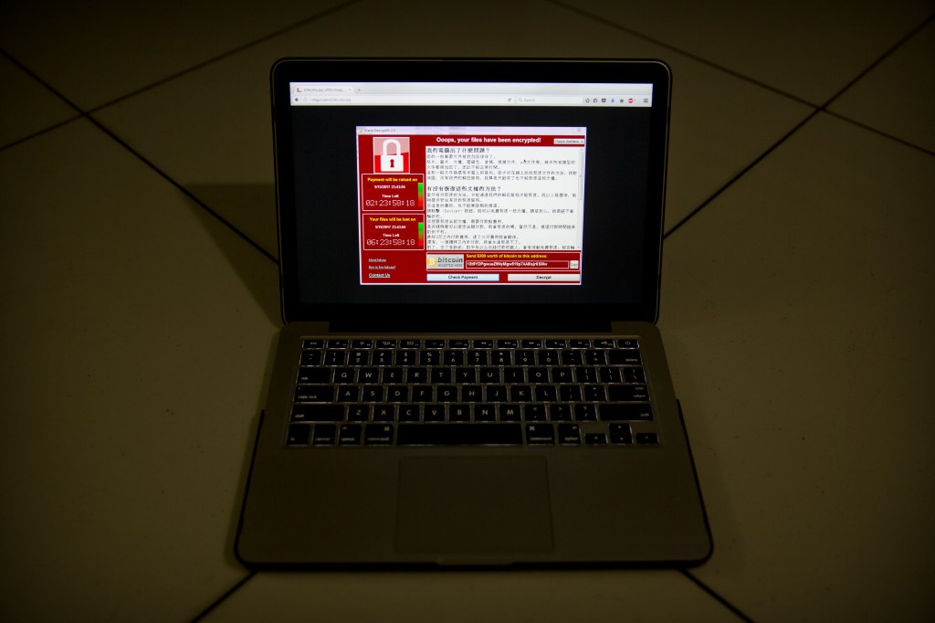 Should government pay the ransom from digital hijacking?