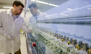 US drugmaker, health care system hit by cyberattack