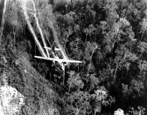VA to ease benefits rules for vets exposed to Agent Orange in the US