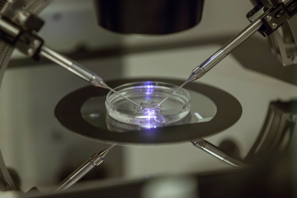 Democrats, health groups call out OPM over infertility coverage