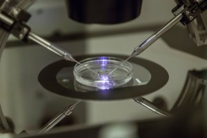 Democrats, health groups call out OPM over infertility coverage
