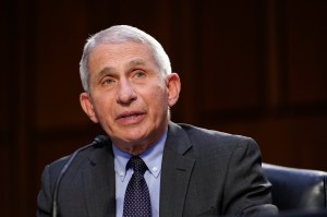 The ‘Fire Fauci Act’? Here’s what QAnon’s favorite Republican doesn’t understand about federal employment law