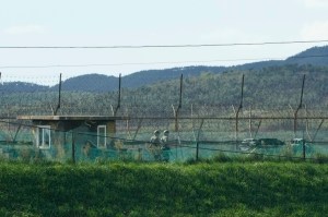 North Korea fires suspected ballistic missile into sea