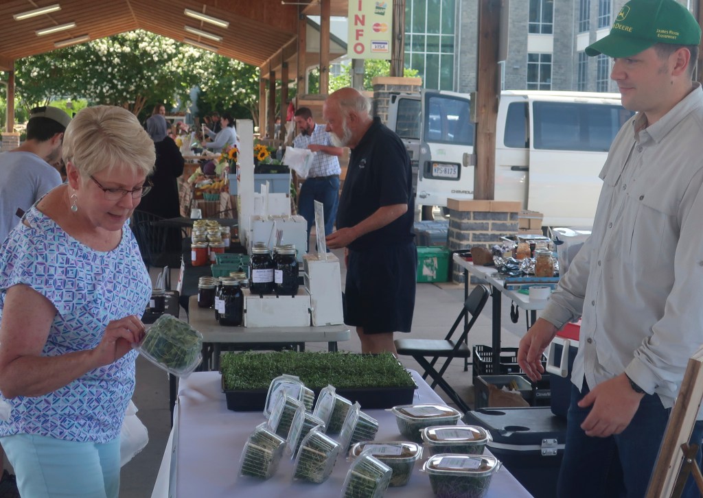 Marine veteran grows new business with microgreens