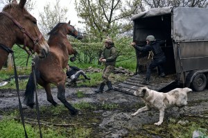 China’s Xi, Ukraine’s Zelenskyy discuss Ukraine war by phone